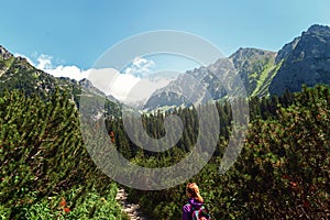 Cestovateľ horskou krajinou Vysoké Tatry Slovensko