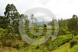 Mountain landscape. Traveling by train between Kandy and Ella. Sri Lanka photo