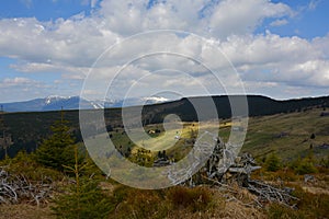 Mountain Landscape with Tree Stump and beams of Light, Czech Republic, Europe