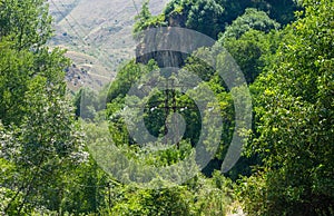 Mountain landscape with trees, green forest in the mountains