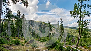 Mountain landscape with trees and meadow - Giant Mountains.