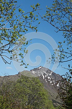 Mountain Landscape photo