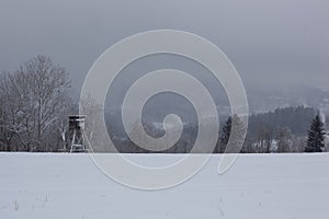 Mountain landscape under the snow on an overcast day