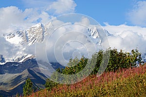 Mountain landscape in Upper Svaneti, zone of alpine meadows,Georgia