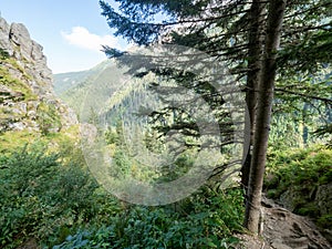 Mountain landscape in Valea Sambetei, Romania