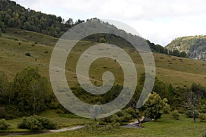 Mountain landscape in the vicinity of the taiga settlement of the General of the Altai Territory in Western Siberia