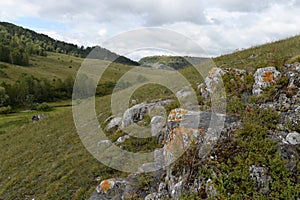 Mountain landscape in the vicinity of the village of Generalka Altai Territory. Western Siberia. Russia