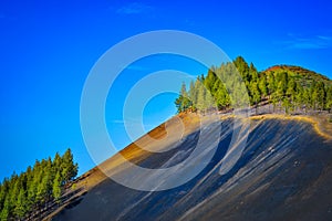 Mountain landscape with volcanic soil and pine trees in Gran Canaria island, Spain