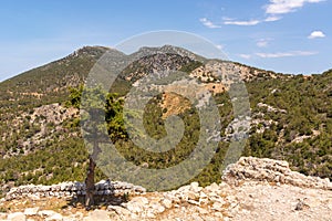 Mountain landscape and wild vegetation,Greece