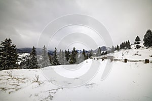 Mountain landscape in winter on a cloudy day. Carpathian Mountains