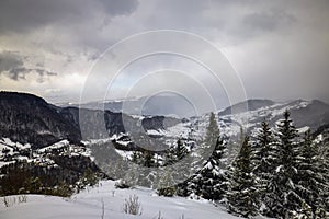 Mountain landscape in winter on a cloudy day. Carpathian Mountains
