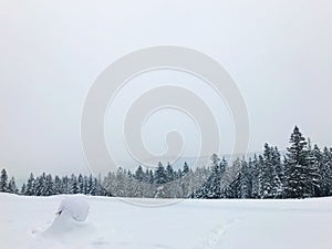 Mountain landscape in winter. Glade and evergreen forest covered with a thick layer of snow