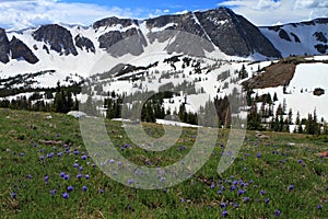 Mountain landscape of Wyoming photo