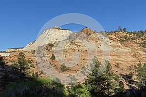 Mountain landscape in the zion national park, Utah, USA