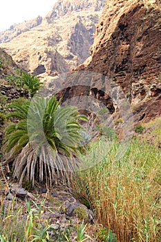 Mountain landscapes of gorges maska