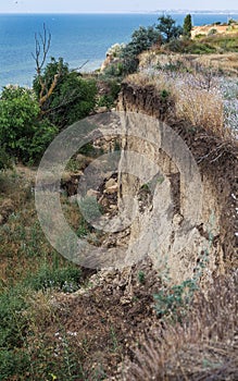 Mountain landslide disaster in sesmically dangerous area. Large cracks in earth, descent of large layers of earth blocking road. M