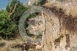 Mountain landslide disaster in sesmically dangerous area. Large cracks in earth, descent of large layers of earth blocking road. M