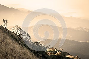 Mountain and layer sepia