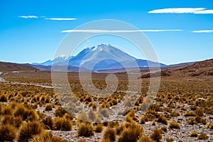 Mountain and lenticular clouds