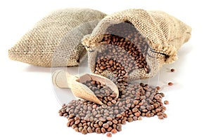 Mountain lentils
