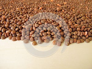 Mountain lentils distributed flatly on a wooden board