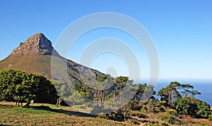 Mountain Lion's Head (Capetown,South Africa) photo