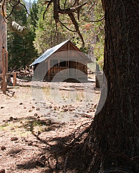 Mountain Log Cabin