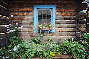 Mountain log cabin and garden