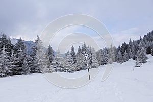 Hiking marking pole with indications photo