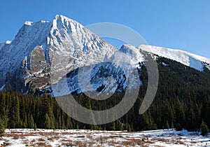 Mountain and meadow