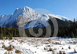 Mountain and meadow