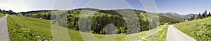 Mountain meadow above Pec pod Snezkou