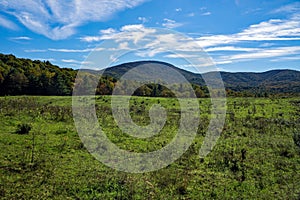 Mountain Meadow on the Blue Ridge Parkway, Virginia, USA