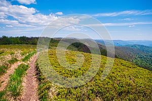 Mountain meadow in Bukovske vrchy - beech forests in Poloniny in Slovakia