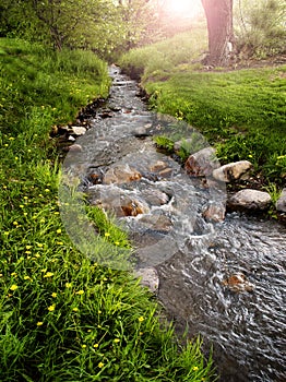 Mountain Meadow with Creek