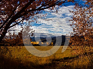 Mountain and Meadow Fall Color