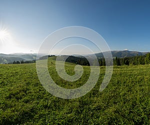 Mountain meadow with green grass, trails and forest