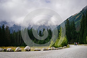 Mountain meadow in High Tatras photo