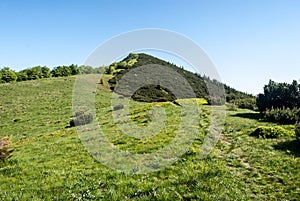 Horská louka s kopcem pokrytým pinus mugo nad a jasnou oblohou v Karpatech