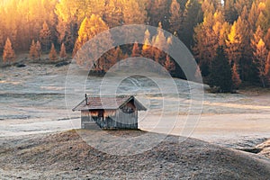 Mountain meadow and house Alpe di Siusi or Seiser Alm in the background Langkofel mountain range at sunset with Province of