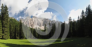 Mountain meadow in Karawanken