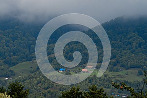 mountain meadow in the morning light, mountain valley in the fog on a grassy hill, the concept of freshness of nature.