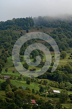 mountain meadow in the morning light, mountain valley in the fog on a grassy hill, the concept of freshness of nature.