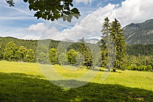 Mountain Meadow Near Grainau, Germany