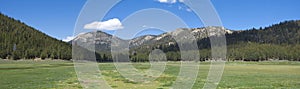 Mountain meadow panoramic