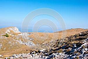 A mountain meadow, Puchberg am Schneeberg, Austria