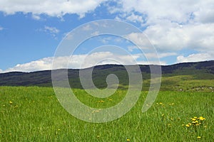 Mountain meadow scene, Croatia