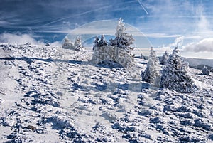 Mountain meadow with small shrubs and blue sky with clouds in winter mountains