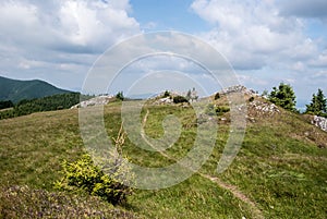 Mountain meadow with small trees, rocks and hiking trail