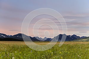 Mountain meadow at sunset in Glacier Park, Montana